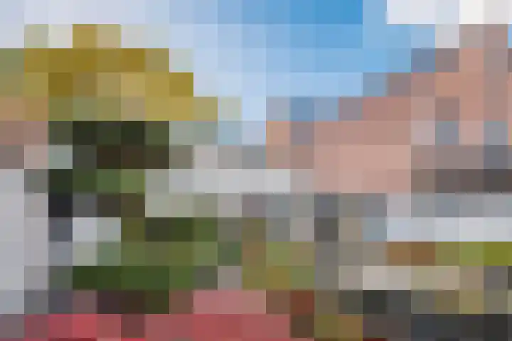 Wildpleintje 45 Goirle thumbnail 27