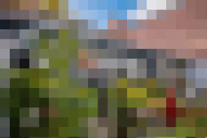 Wildpleintje 45 Goirle thumbnail 28