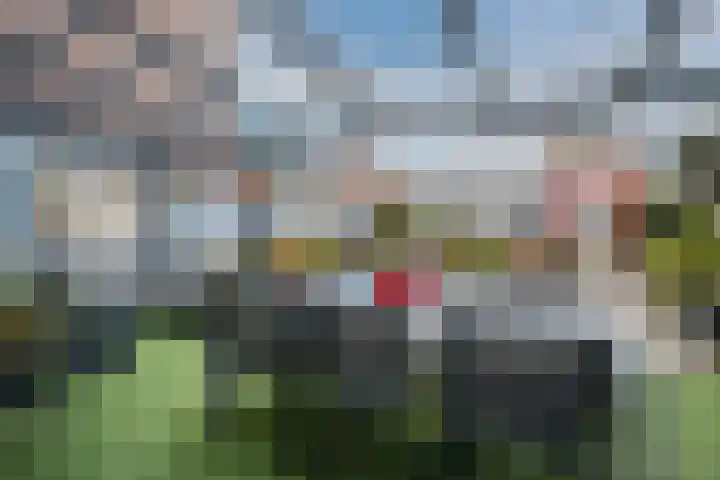Wildpleintje 45 Goirle thumbnail 29