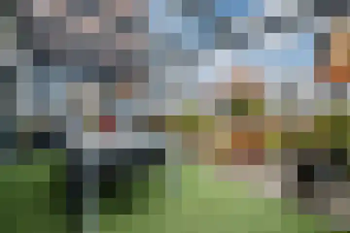 Wildpleintje 45 Goirle thumbnail 30