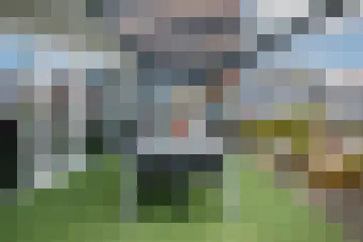 Wildpleintje 45 Goirle thumbnail 31