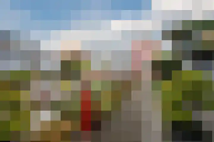 Wildpleintje 45 Goirle thumbnail 33
