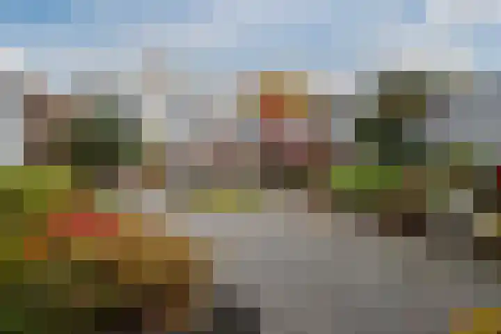 Wildpleintje 45 Goirle thumbnail 34