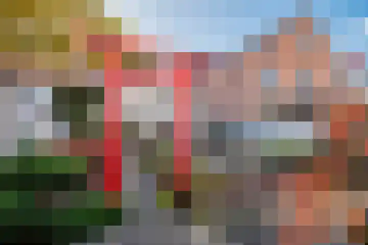 Wildpleintje 45 Goirle thumbnail 35
