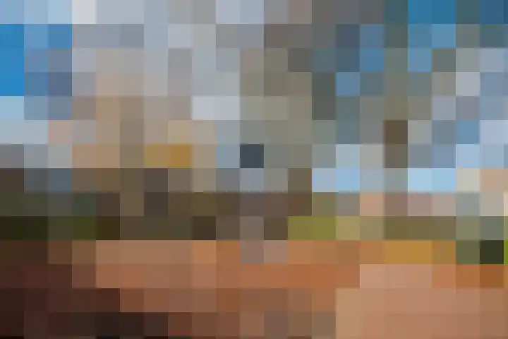 Wildpleintje 45 Goirle thumbnail 39