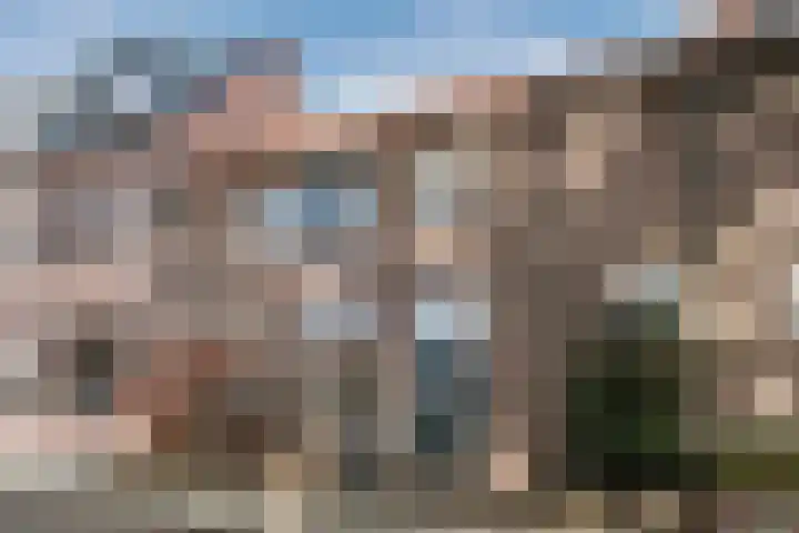 Wildpleintje 45 Goirle thumbnail 41