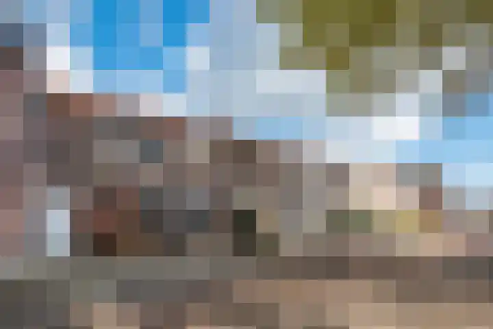 Wildpleintje 45 Goirle thumbnail 43