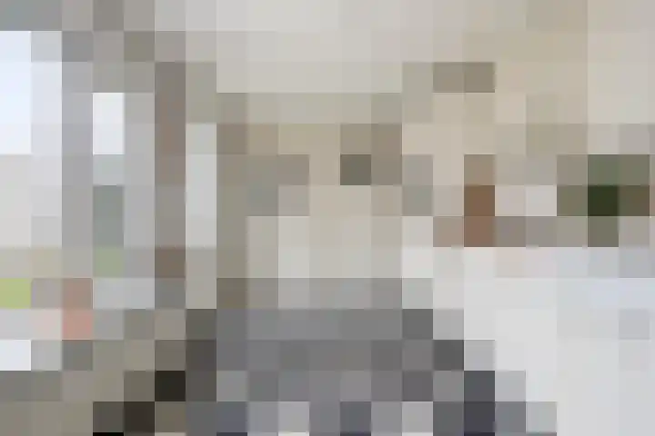 Wildpleintje 47 Goirle thumbnail 11