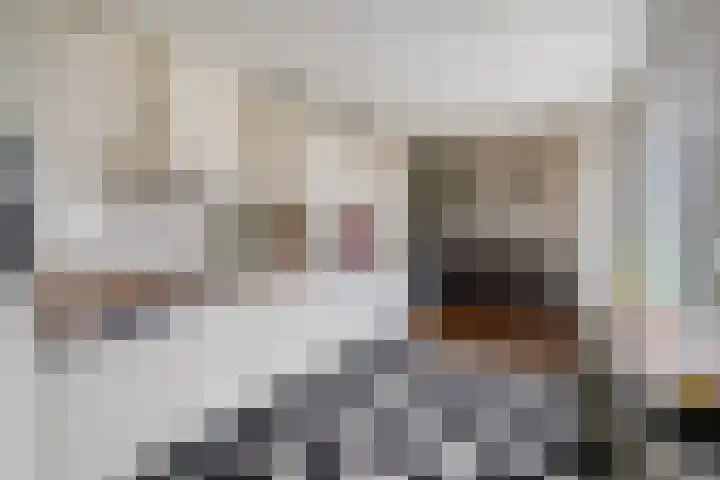 Wildpleintje 47 Goirle thumbnail 12
