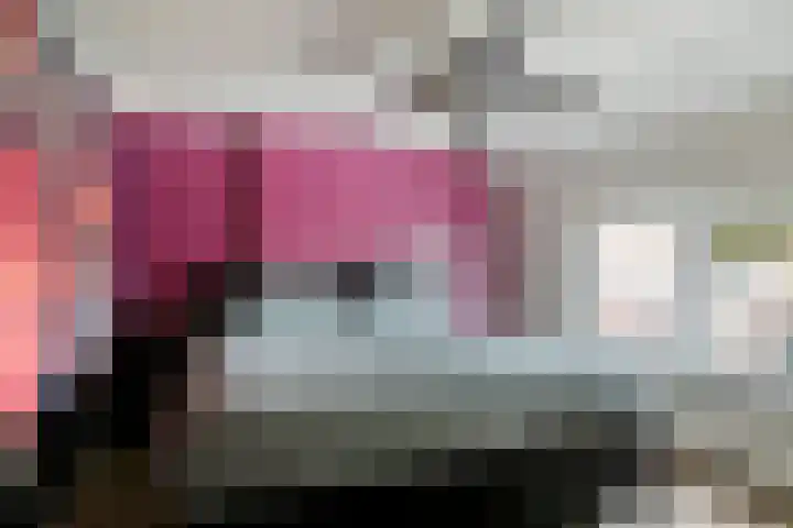 Wildpleintje 47 Goirle thumbnail 15