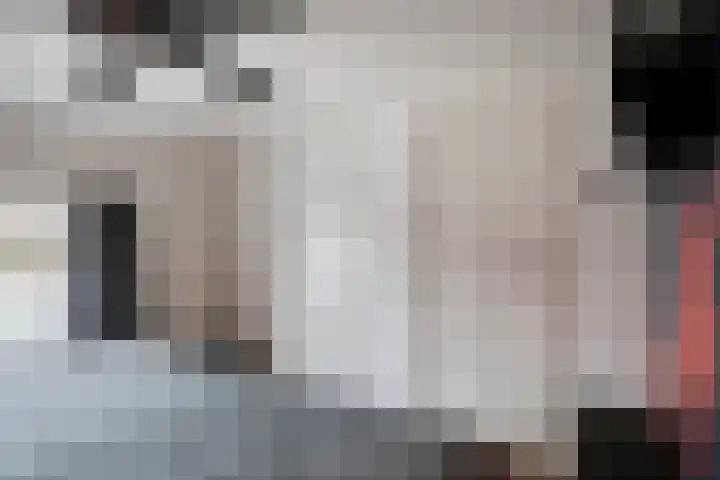 Wildpleintje 47 Goirle thumbnail 16