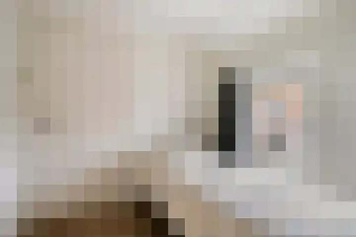 Wildpleintje 47 Goirle thumbnail 20