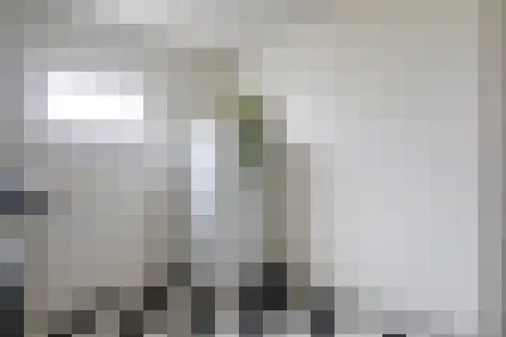 Wildpleintje 47 Goirle thumbnail 22