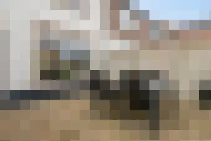 Wildpleintje 47 Goirle thumbnail 23