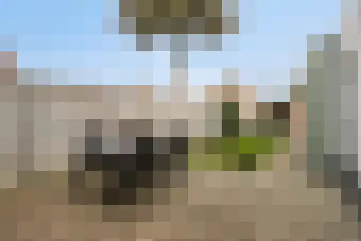 Wildpleintje 47 Goirle thumbnail 24