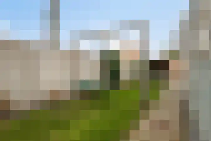 Wildpleintje 47 Goirle thumbnail 25
