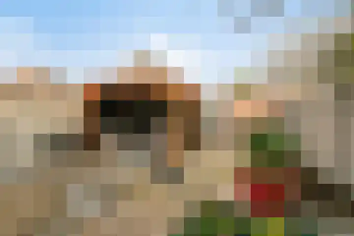 Wildpleintje 47 Goirle thumbnail 27