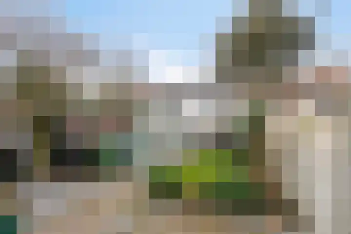 Wildpleintje 47 Goirle thumbnail 28