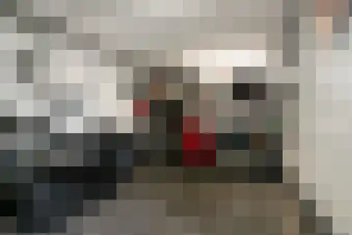 Wildpleintje 47 Goirle thumbnail 32