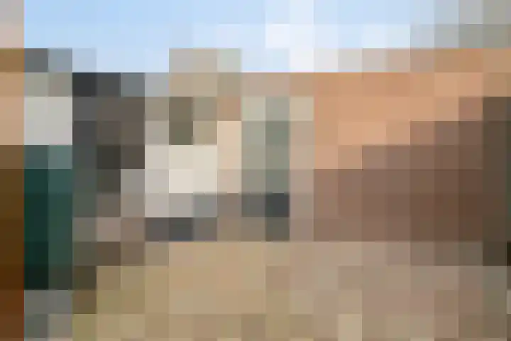 Wildpleintje 47 Goirle thumbnail 33