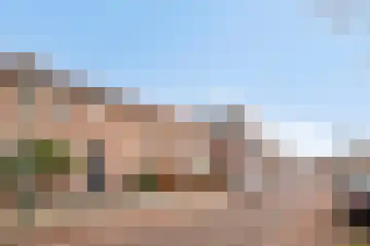 Wildpleintje 47 Goirle thumbnail 35