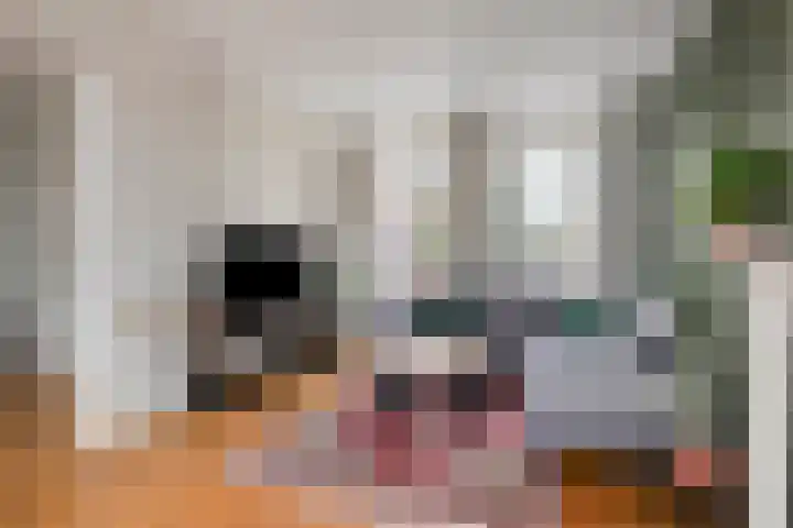 Wildpleintje 47 Goirle thumbnail 6