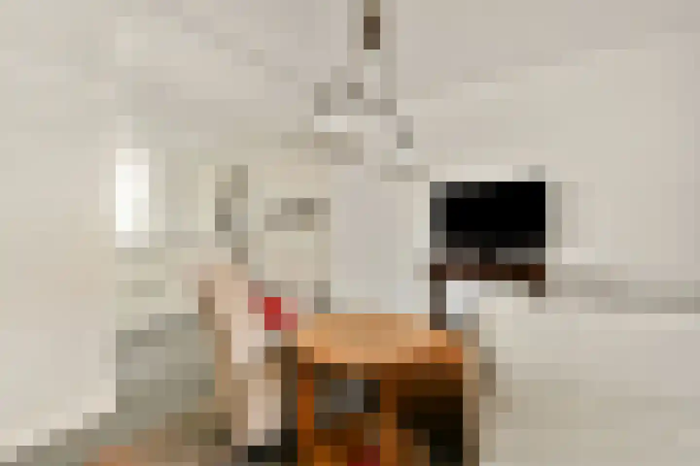 Wildrijklaan 28 Sassenheim thumbnail 19