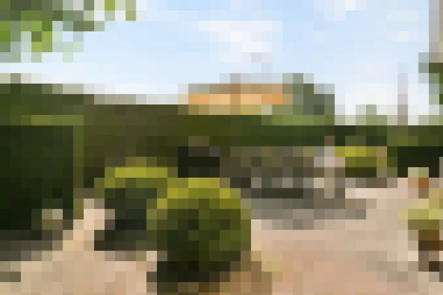 Wildrijklaan 28 Sassenheim thumbnail 32