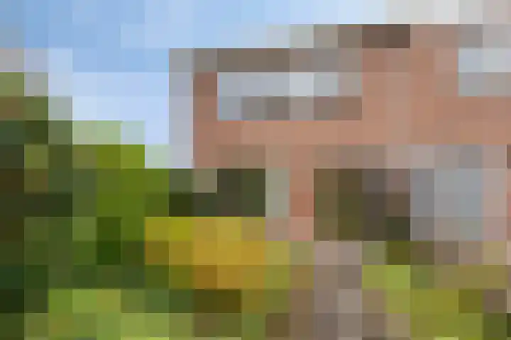 Wildschutweg 15 Wijdewormer thumbnail 9