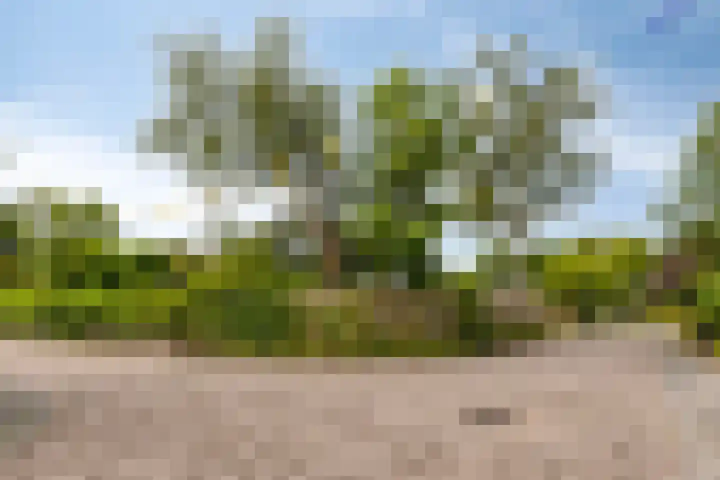 Wildschutweg 25 Wijdewormer thumbnail 17