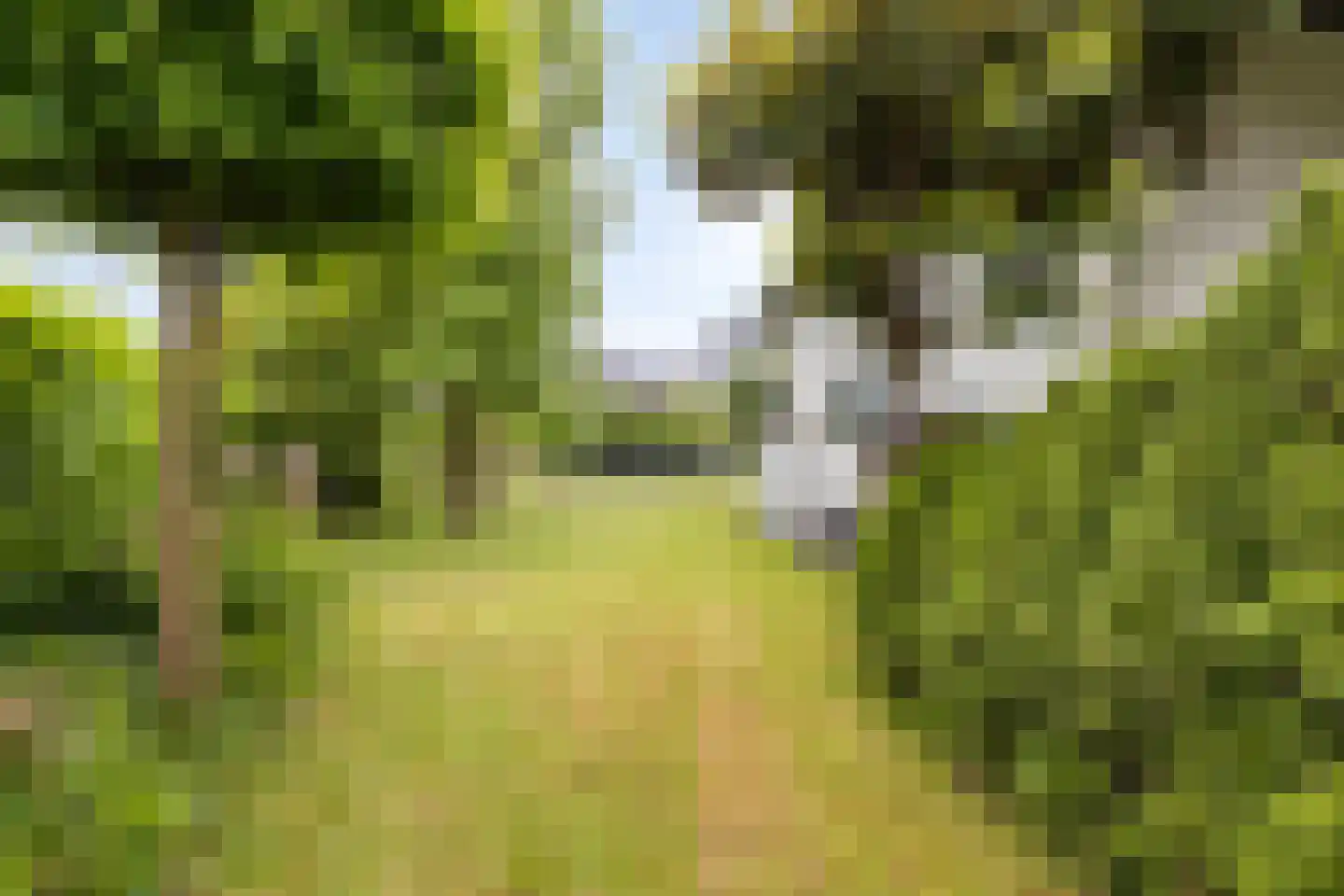 Wildschutweg 25 Wijdewormer thumbnail 66