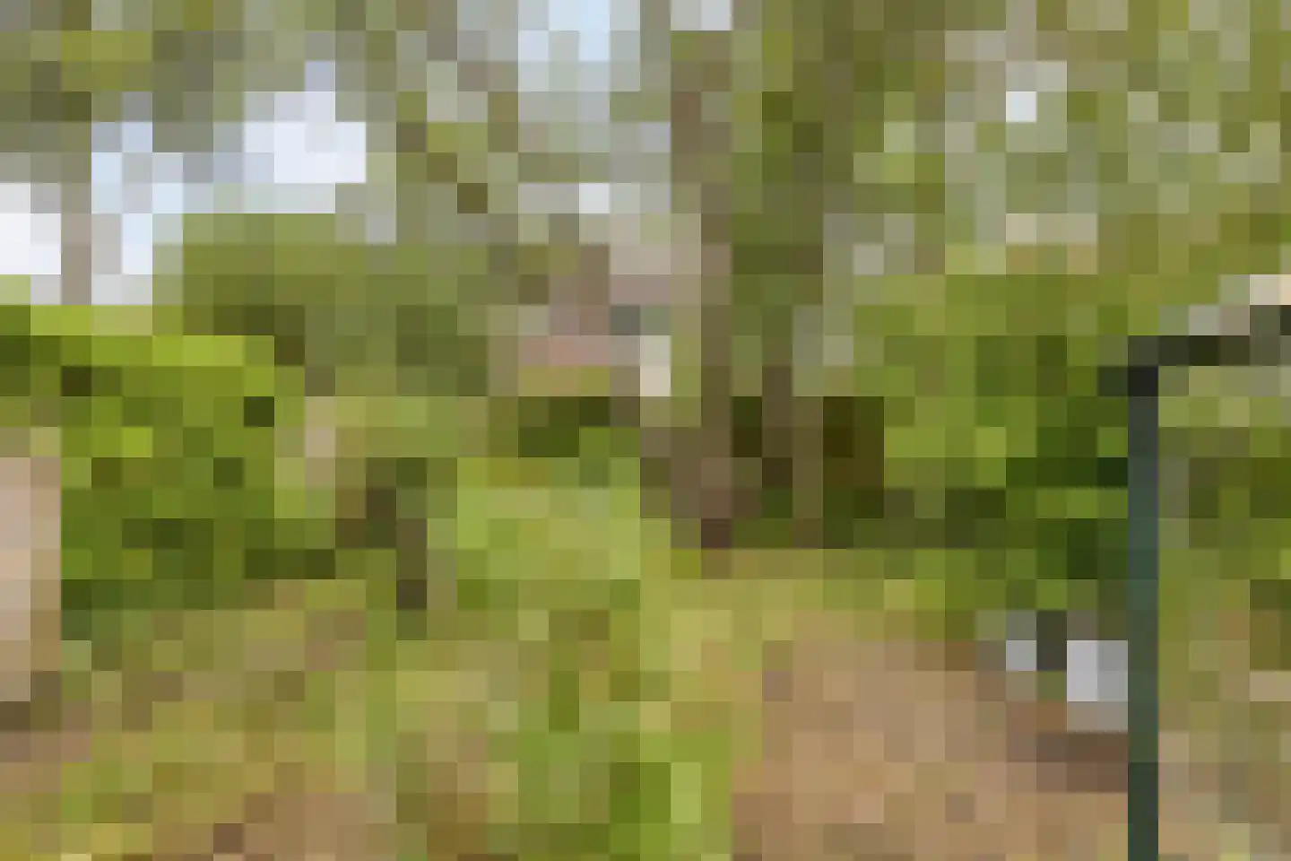 Wildschutweg 25 Wijdewormer thumbnail 68