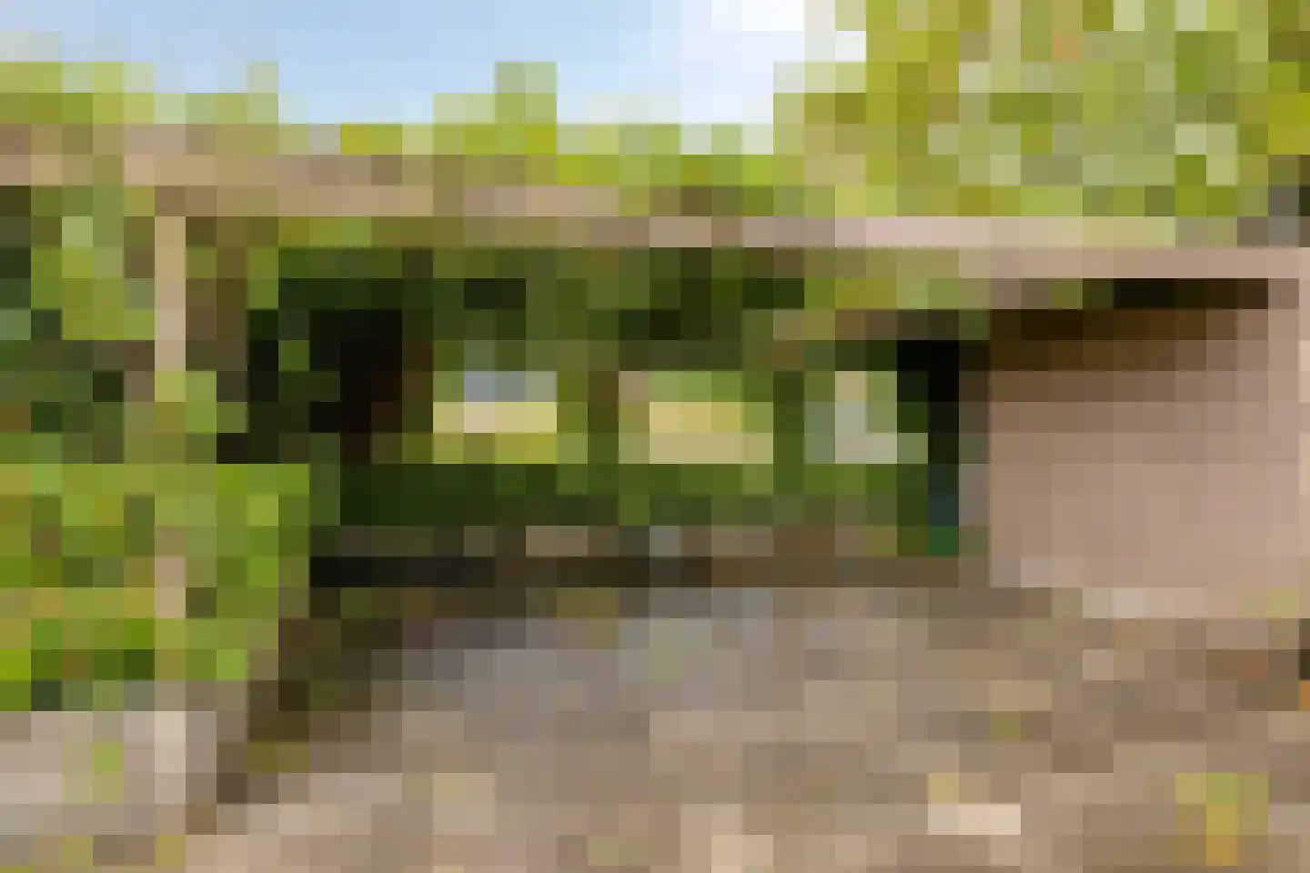 Wildschutweg 25 Wijdewormer thumbnail 70