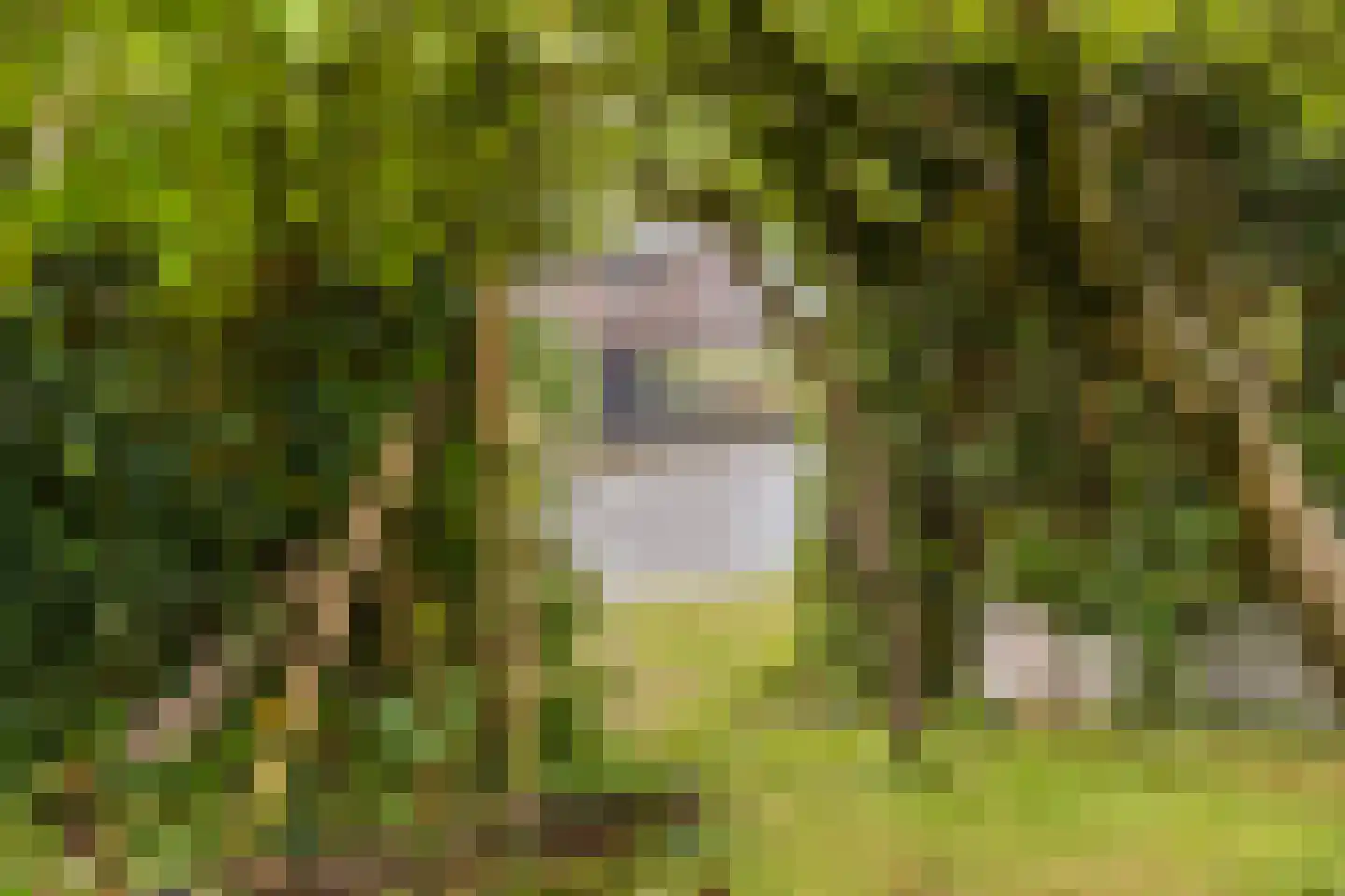 Wildschutweg 25 Wijdewormer thumbnail 71