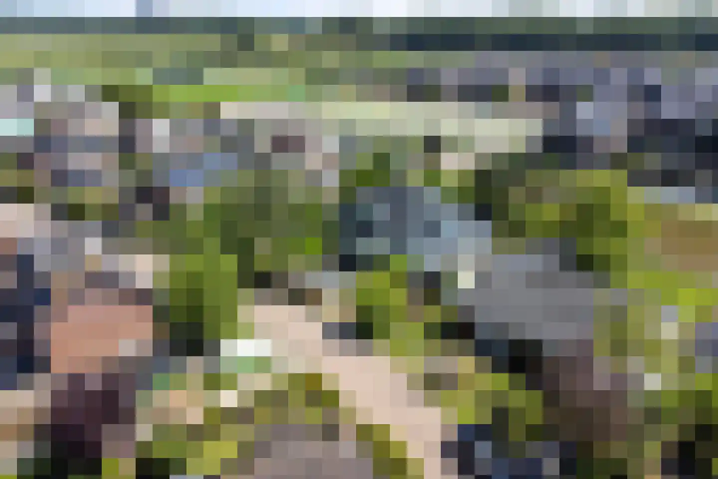 Wildschutweg 25 Wijdewormer thumbnail 9