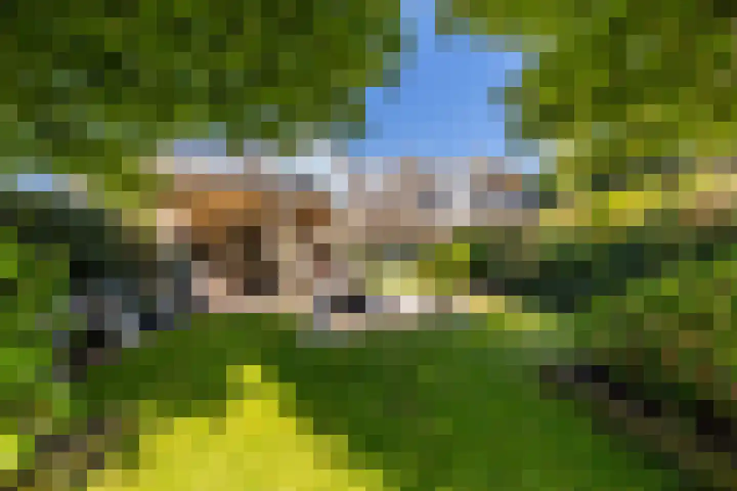 Wildschutweg 35 Wijdewormer thumbnail 53