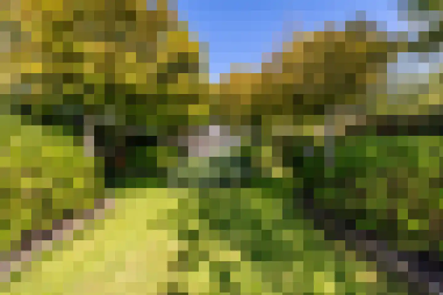Wildschutweg 35 Wijdewormer thumbnail 54