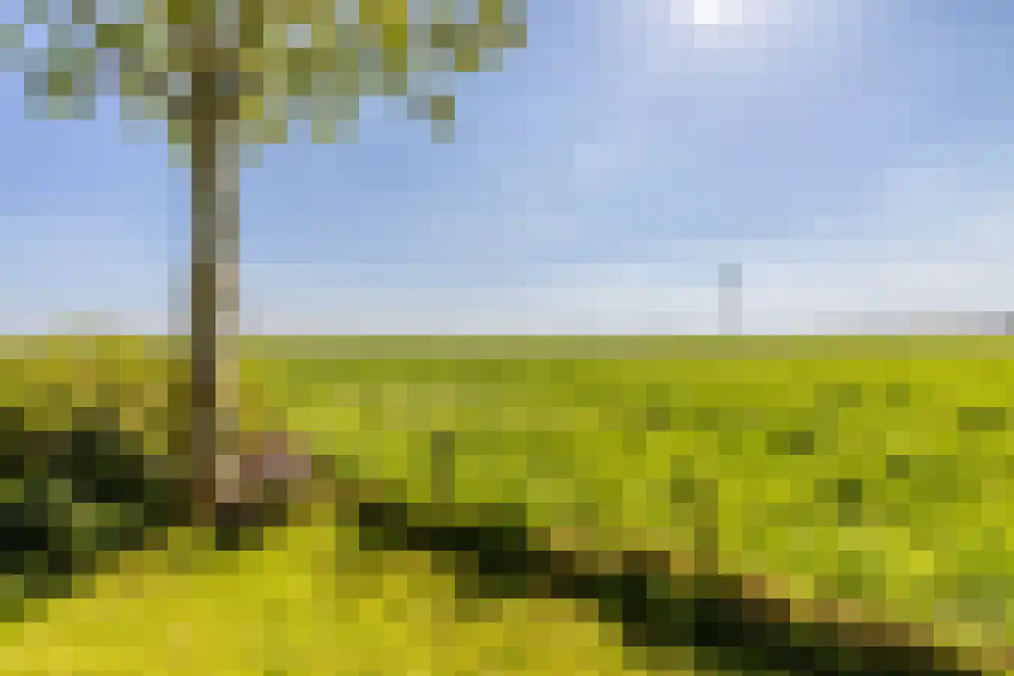 Wildschutweg 35 Wijdewormer thumbnail 58