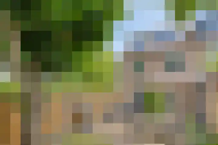 Wildstraat 12 Rosmalen thumbnail 27