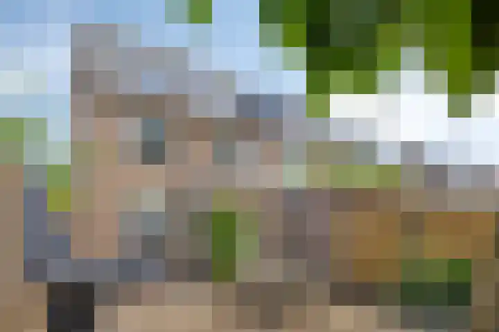 Wildstraat 12 Rosmalen thumbnail 28