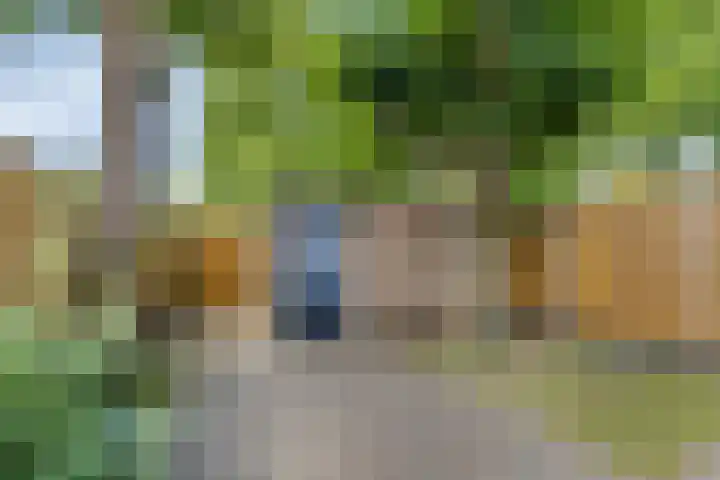 Wildstraat 12 Rosmalen thumbnail 29