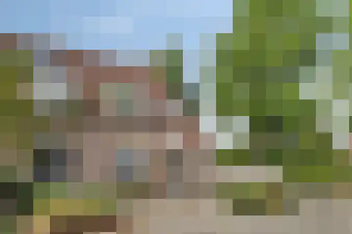 Wildstraat 12 Rosmalen thumbnail 30