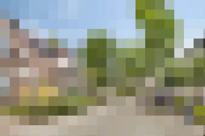 Wildstraat 12 Rosmalen thumbnail 31