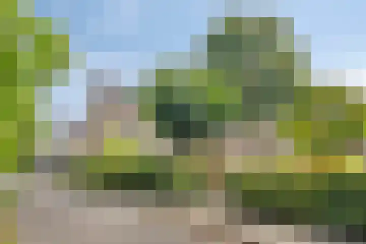 Wildstraat 12 Rosmalen thumbnail 32
