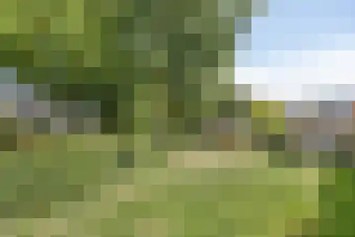 Wildstraat 12 Rosmalen thumbnail 33