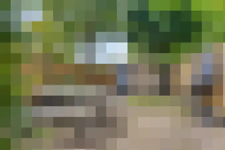 Wildstraat 12 Rosmalen thumbnail 4