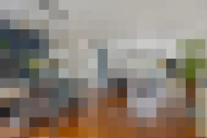 Wildstraat 12 Rosmalen thumbnail 8