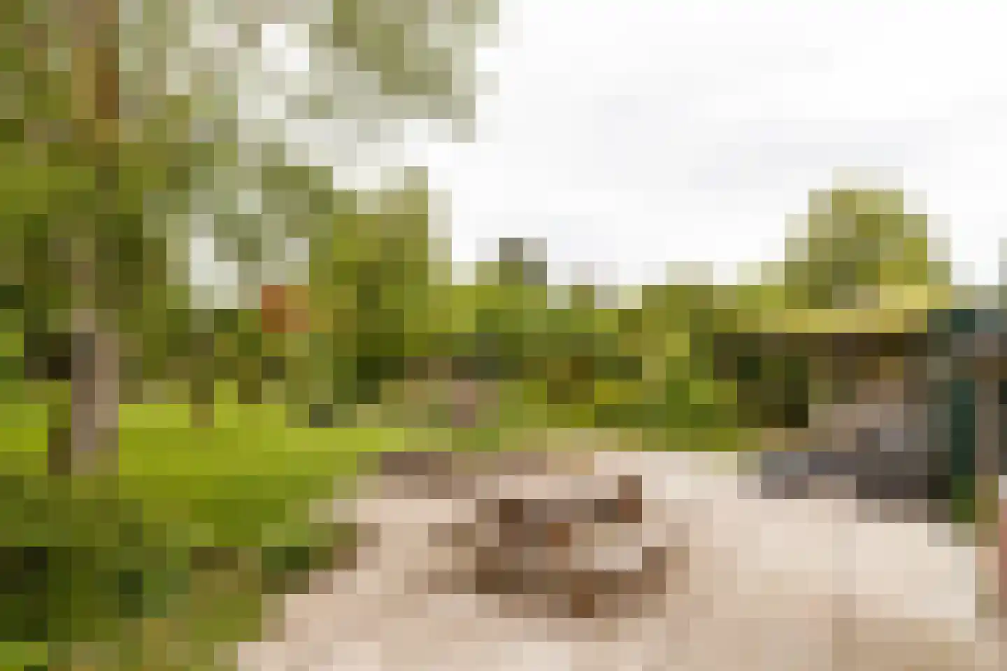 Wildveldseweg 3 Harmelen thumbnail 23