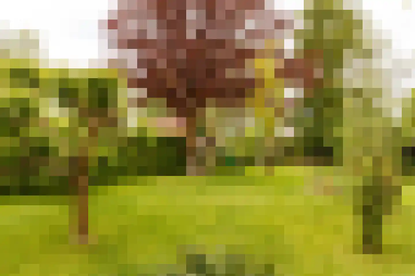 Wildveldseweg 3 Harmelen thumbnail 24