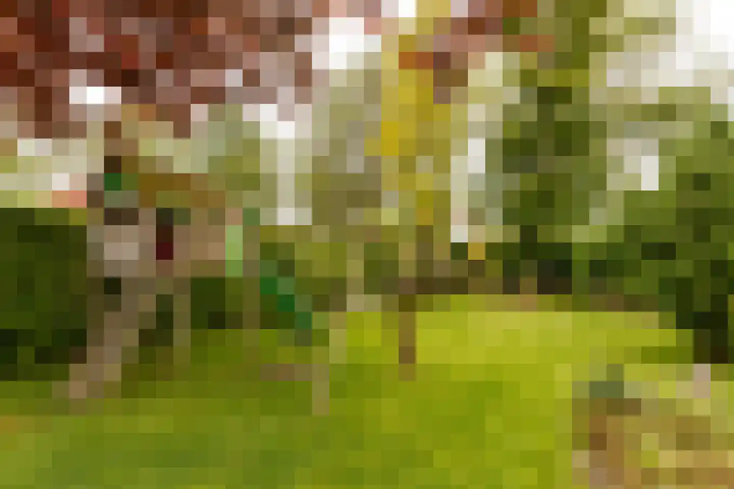 Wildveldseweg 3 Harmelen thumbnail 25